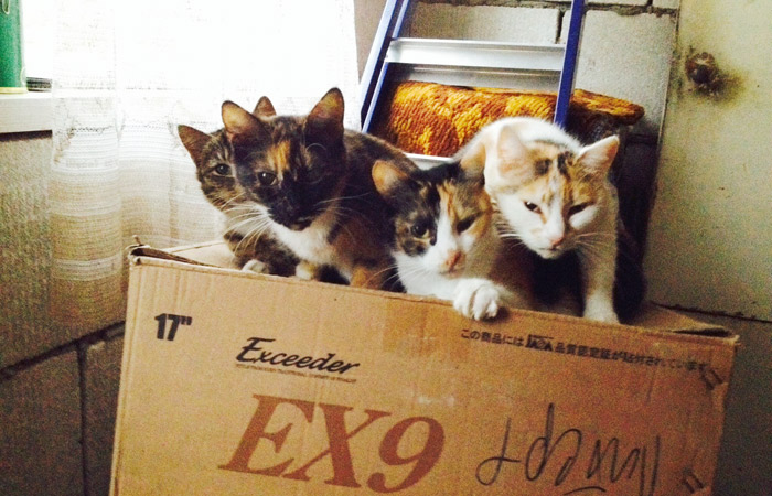 ������ - � ���, ������ ��������� �����...