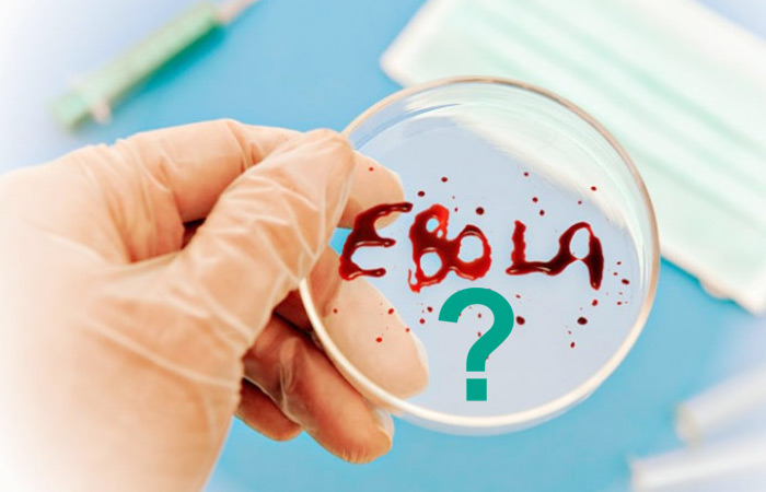 13 ������� � ��������� ������ �����������������...