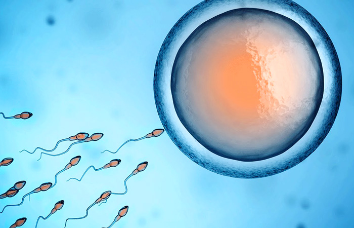 ����� ������� - ������������ ������� ������...