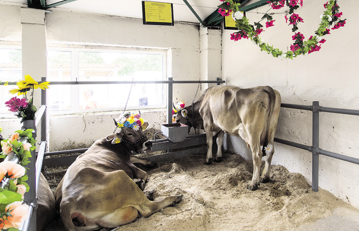 � ��������� ������� ����� ������������...