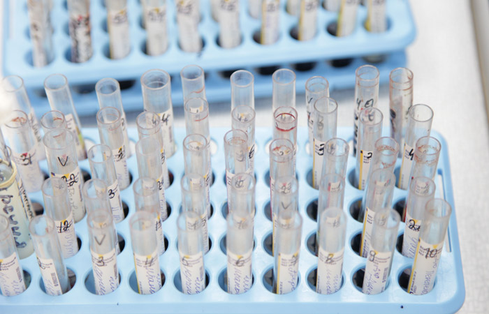 �������� ��������� �������� �� ���