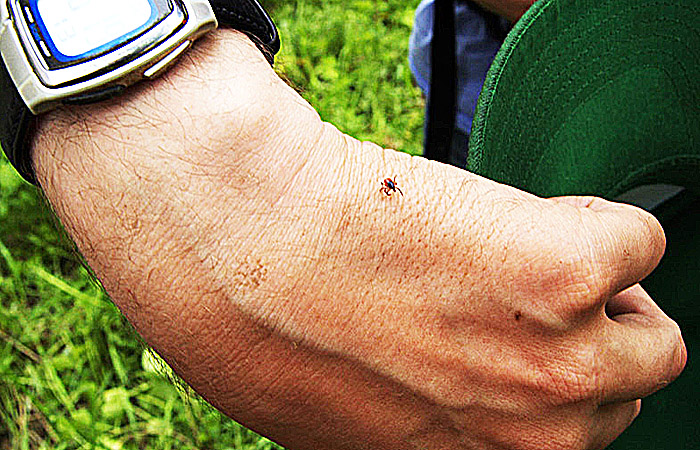 ������ �� �������� ������������� ������...