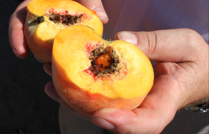 ������ ������������ ������ � ������ ������ ����������� ������� � ��������