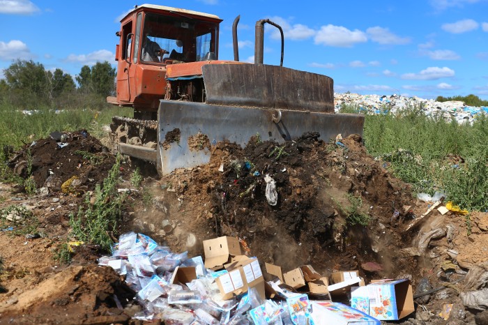 Под Смоленском ликвидировали более 60 тонн грибов и мандаринов